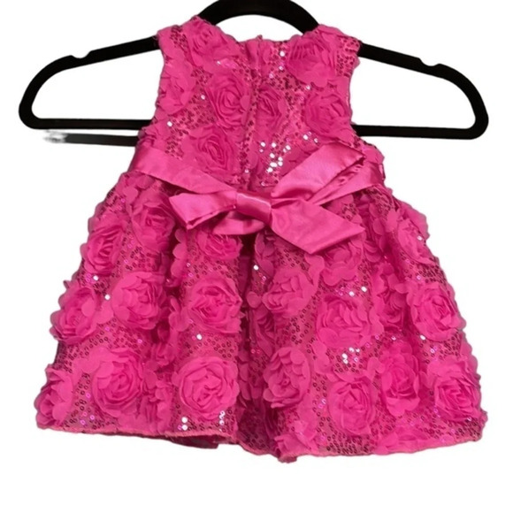 New American‎ Princess Hot Pink Floral Embellished Dress Size 12M - Picture 4 of 6